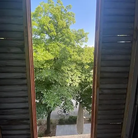 Grand Studio-centre De Appartement Toulouse